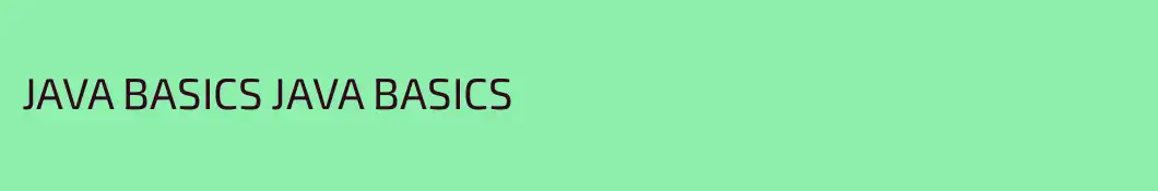 JAVA BASICS JAVA BASICS